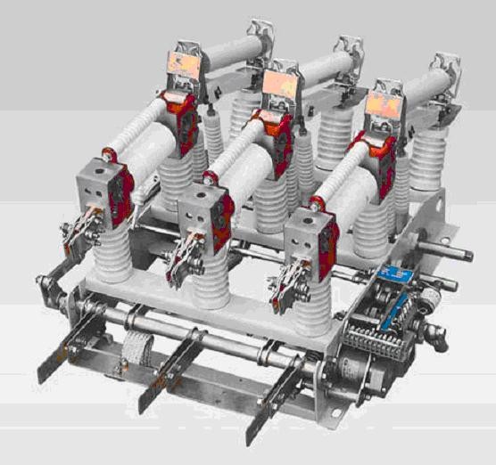 FZN21-12D/630-20戶(hù)內(nèi)交流高壓真空負(fù)荷開(kāi)關(guān)